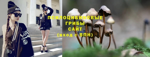 меф Арсеньев